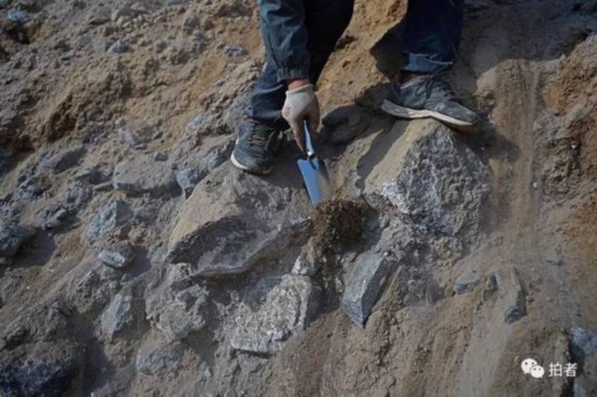 俠客島:甘肅祁連山為何又上了環(huán)保頭條?